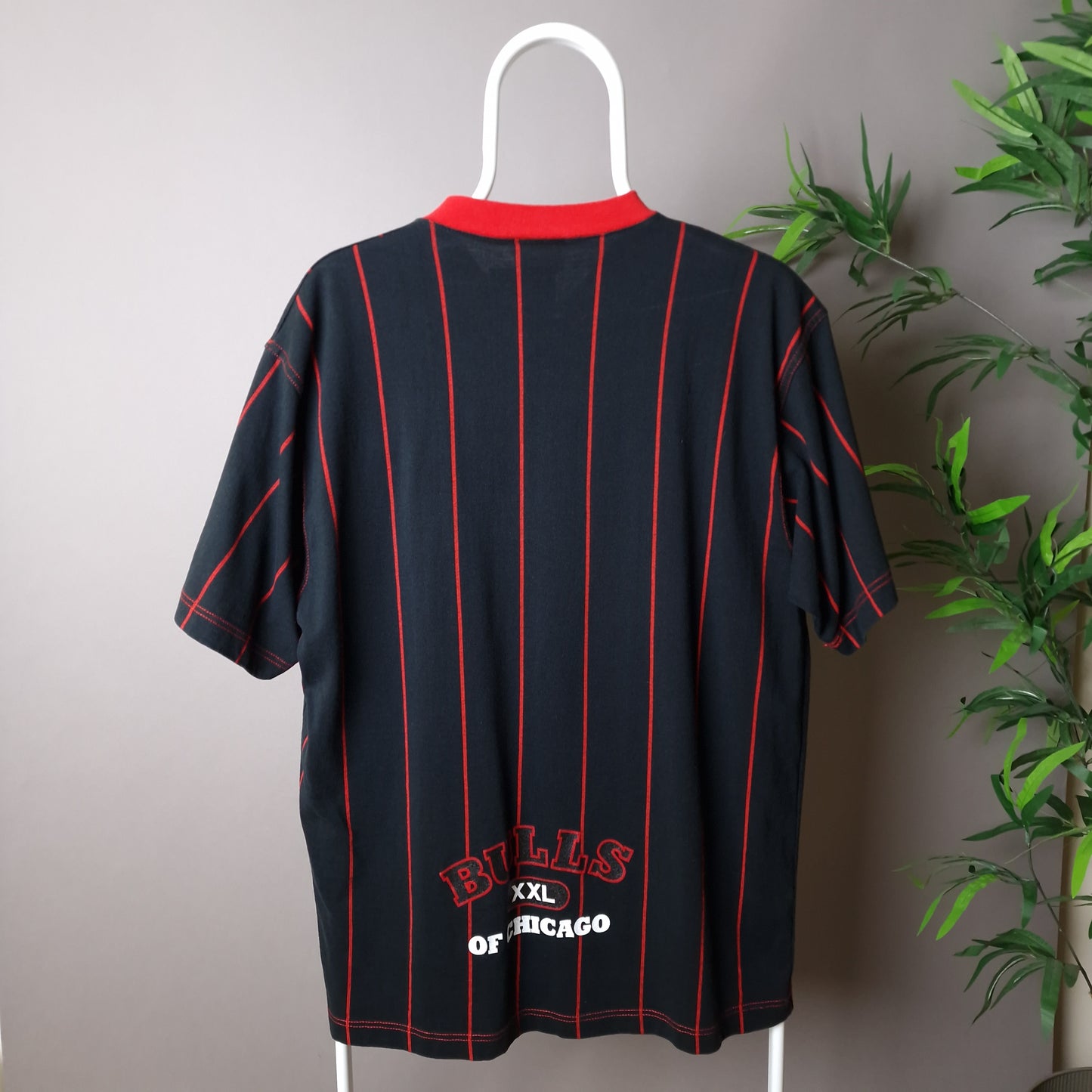 Vintage Chicago Bulls Champion t-shirt in black and red - medium