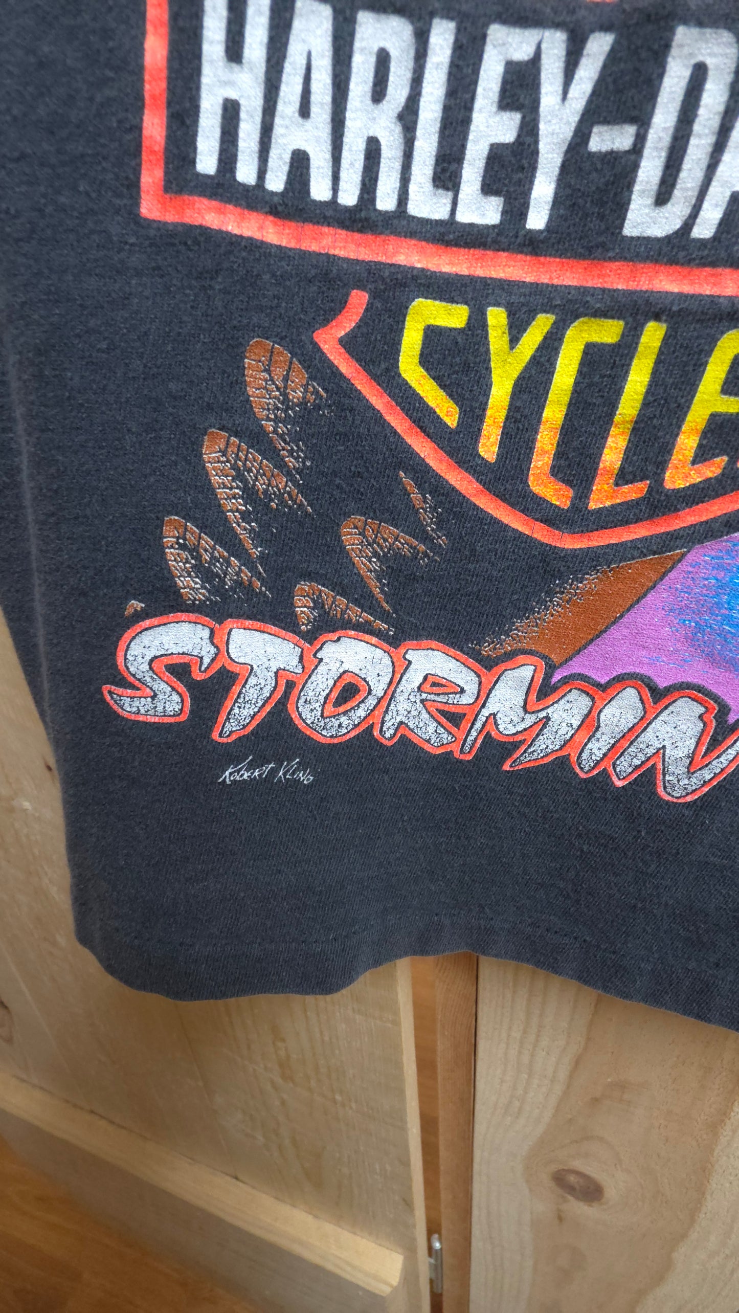 Vintage Harley Davidson "stormin the beach" single stitch vest - large
